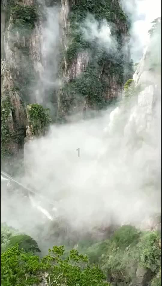 燃烧吧大脑免广告最新版